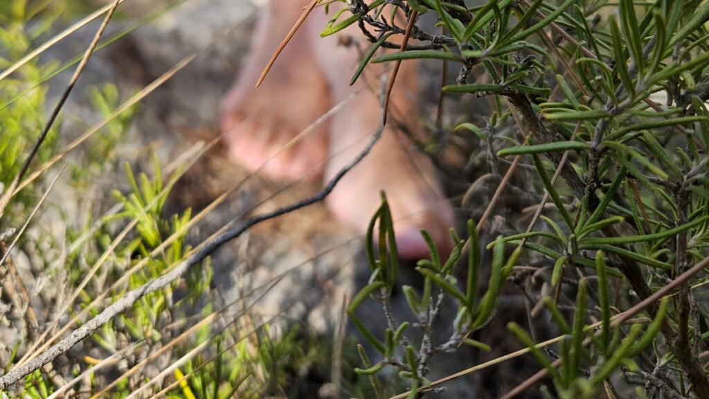 salud holistica conectar con la tierra